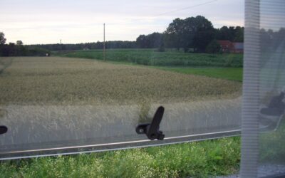 Wir wünschen Ihnen einen wunderschönen Sommer