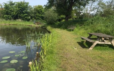 Hvorupgaard Fiskepark