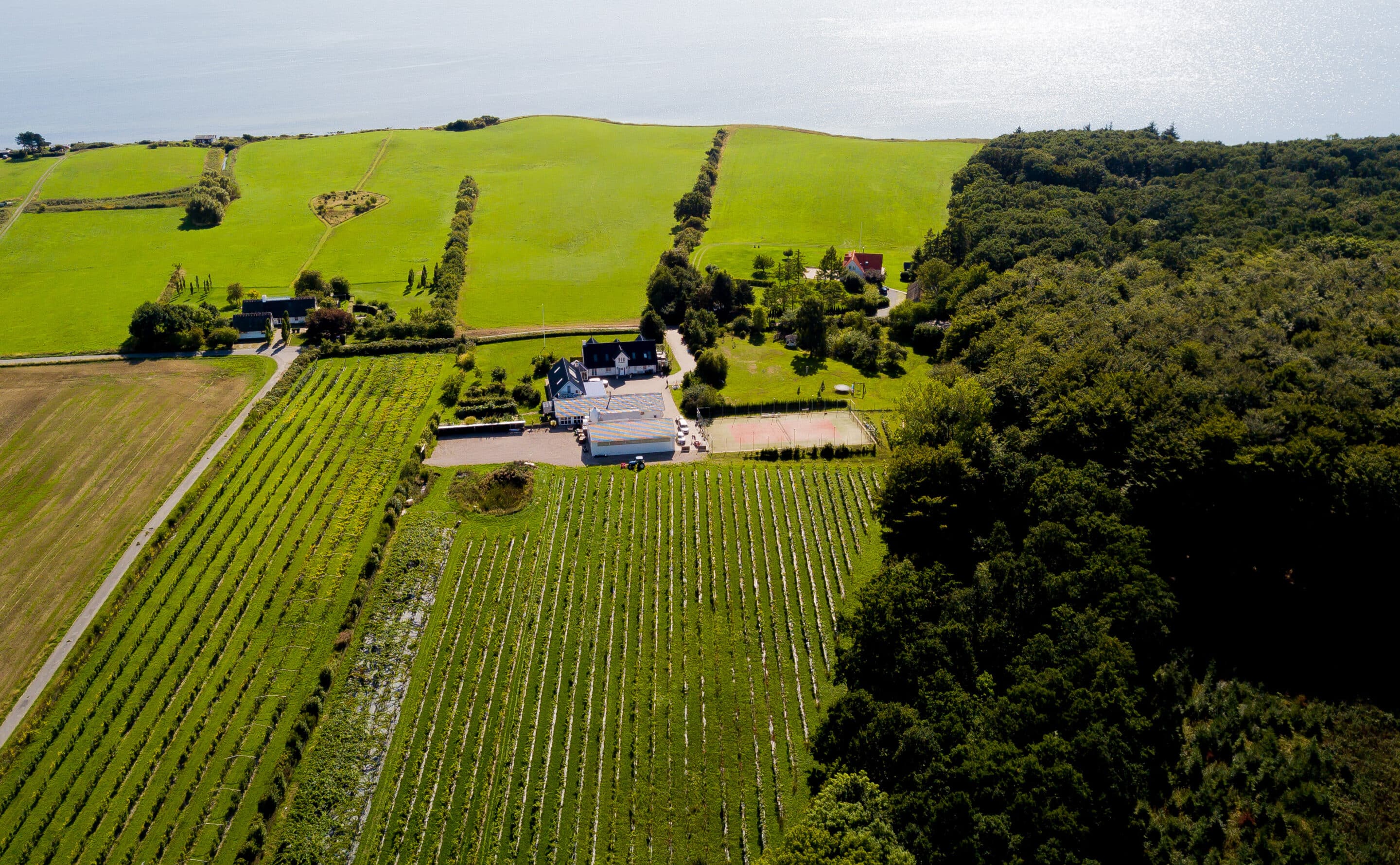 Gård med vinmarker og fjord