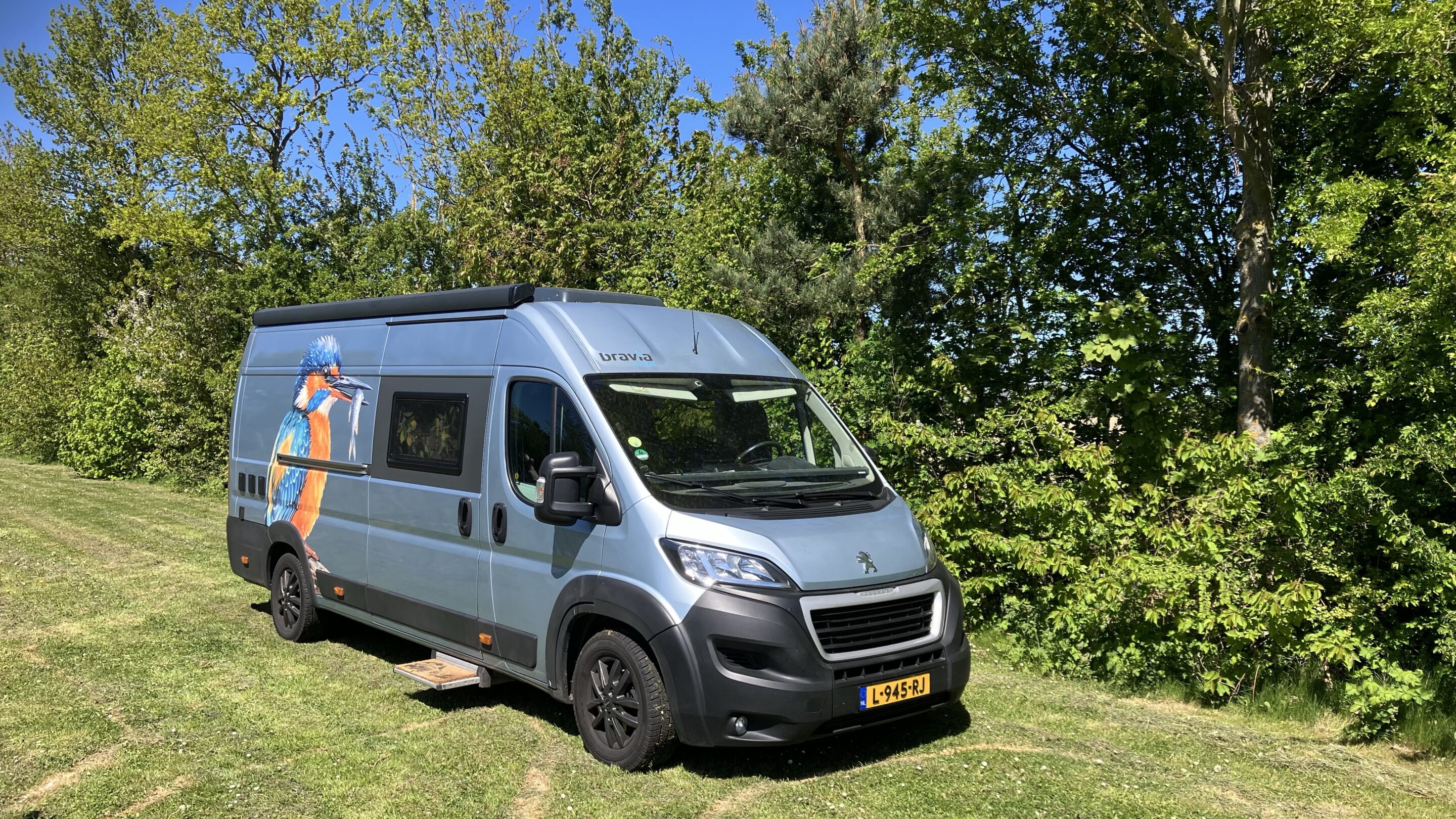 Autocamper placeret i vinmarken