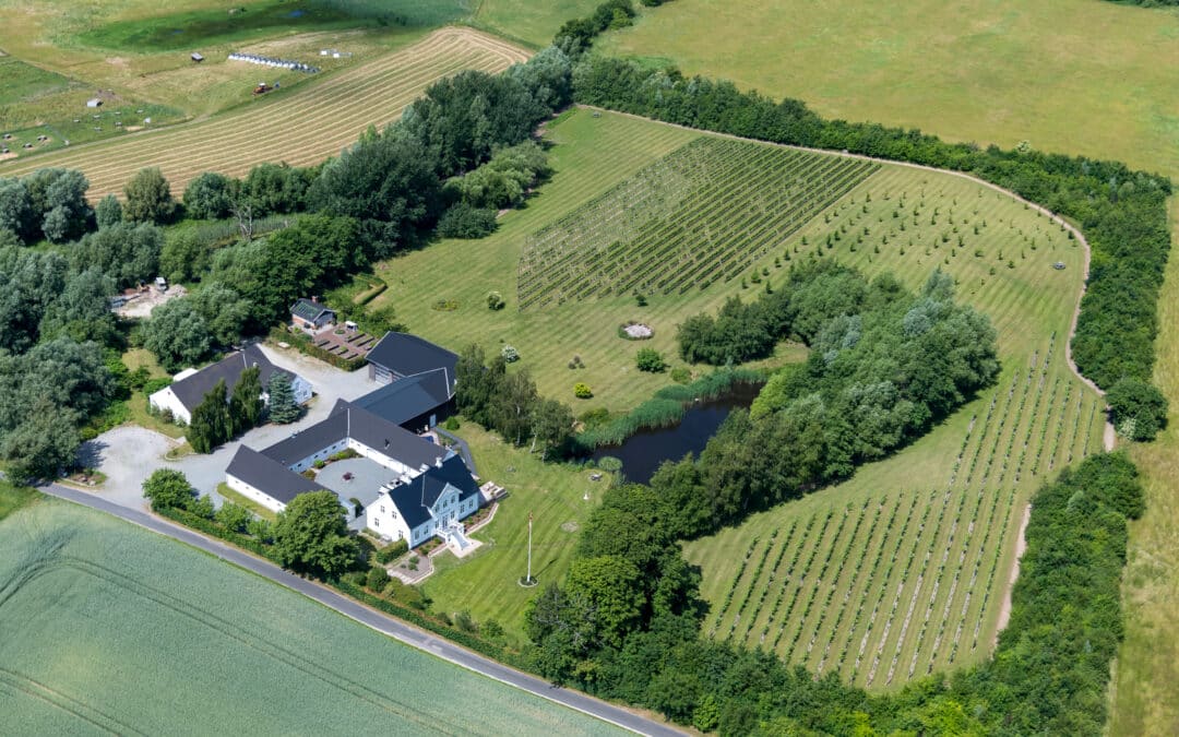 Weinberge auf Sjælland