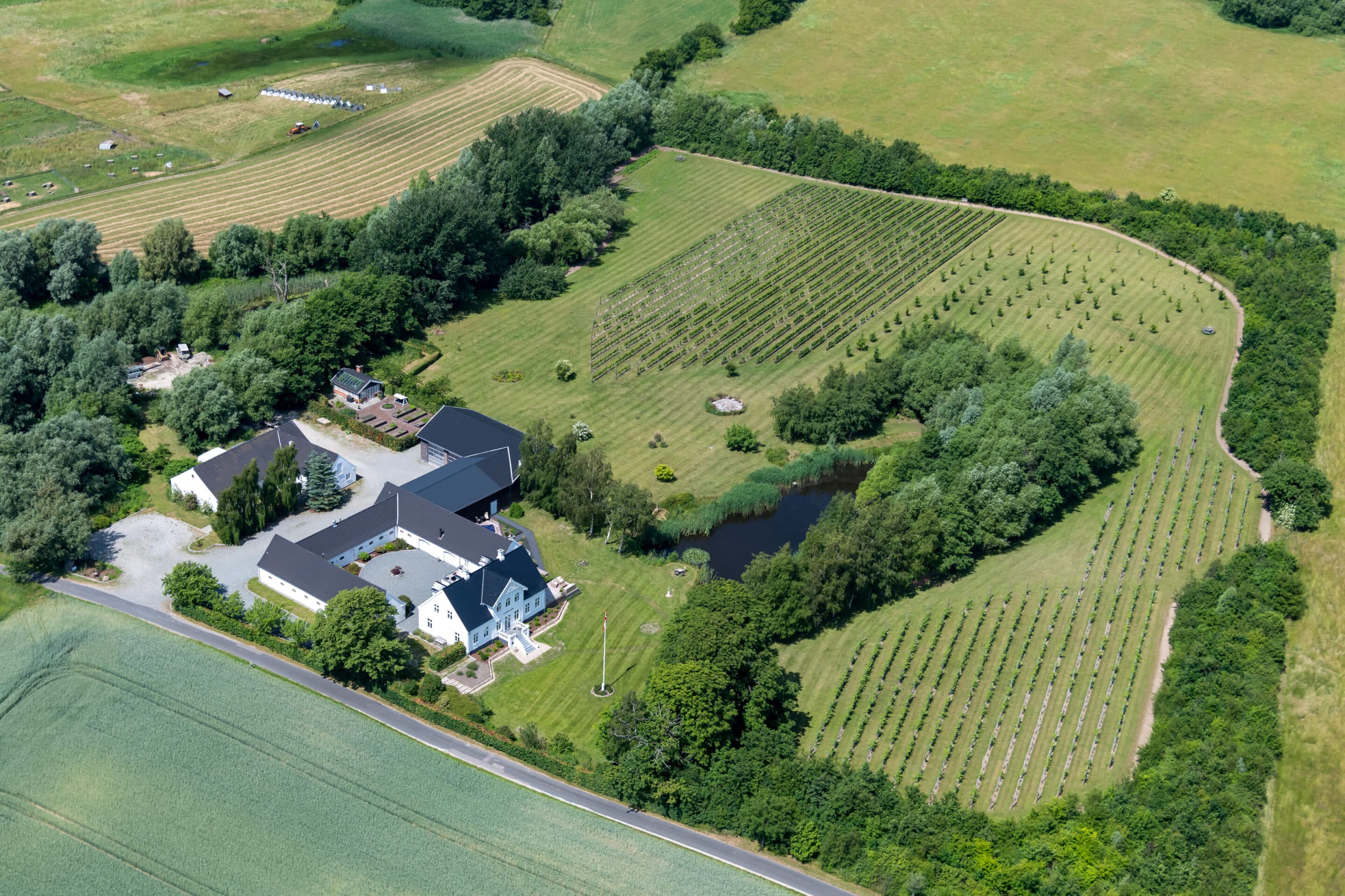 Dronebillede af vingård med vinmarker omkring gården