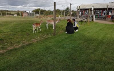 Enghave Dyre- og Naturpark