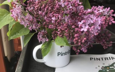 Review a Pintrip host and win 2 beautiful enamel mugs with the Pintrip logo