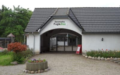 Danmarks Fugle Zoo