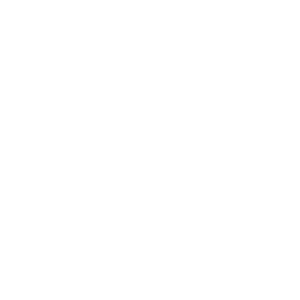 Pintrip vandt .eu web awards i 2022