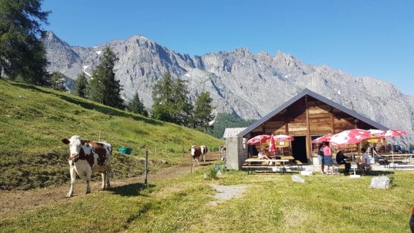 Oplev Schweiz i din autocamper