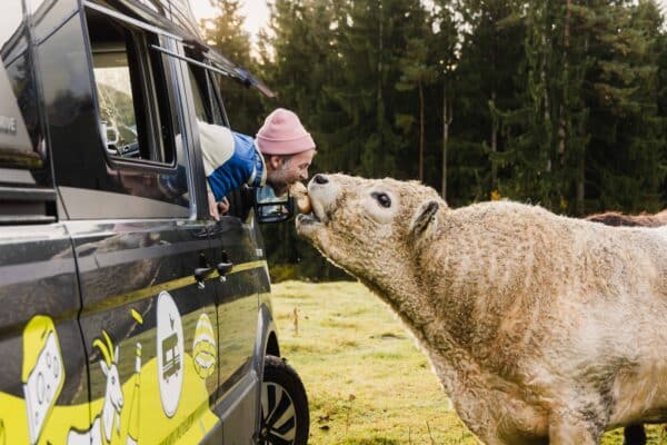 holdeplads tyskland autocamper