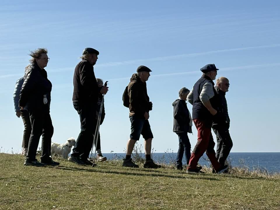 Holdeplads autocamper