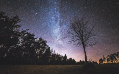 Foreningen Pintrip Camping Danmark – nyhedsbrev januar 2026