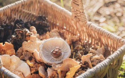 Sanketur Nationalpark Thy 22.08.26