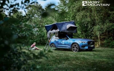 Pintrip indgår nyt samarbejde med Moby Mountain